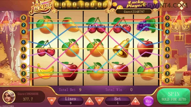 Bônus e prêmios 555win